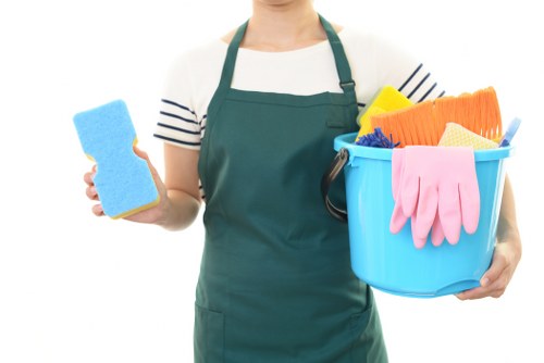 Expert curtain cleaning process in a Maze Hill home