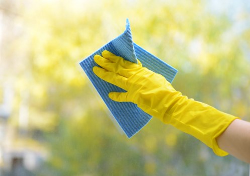 Professional rug cleaning service in Maze Hill for a fresh home