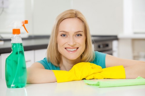 Accessibility requests section for Maze Hill carpet cleaning site