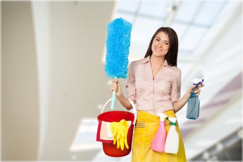 Professional upholstery cleaning in a Maze Hill living room