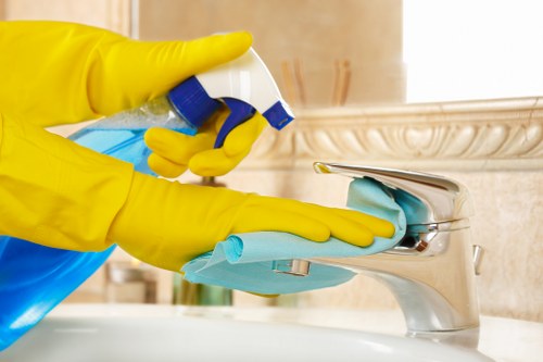 Hot water extraction equipment for carpet cleaning in Maze Hill