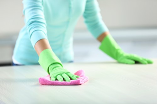 Technician reviewing booking details before carpet cleaning