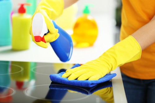 Local carpet cleaning company in Maze Hill values section
