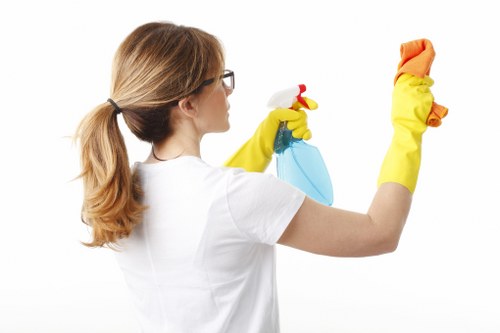 Deep cleaning process for rugs in Maze Hill with specialist care