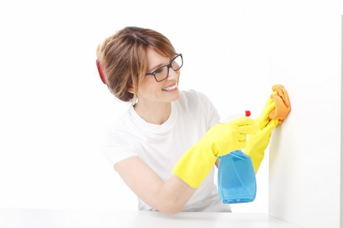 Specialist pet stain odour removal process in a Maze Hill home