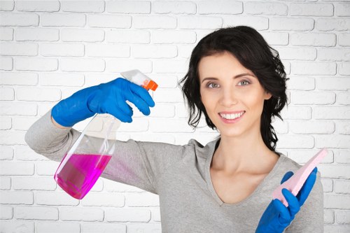 Expert carpet care for a busy household interior in Maze Hill