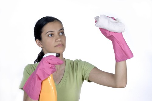 Maze Hill carpet cleaning team focusing on quality and care