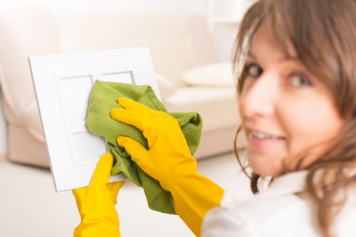 Deep cleaning upholstery to remove pet odours in Maze Hill